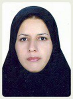 ادامه مطلب...