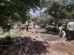 ادامه مطلب...