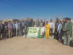 ادامه مطلب...