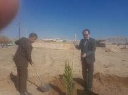 ادامه مطلب...